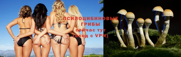 ПСИЛОЦИБИНОВЫЕ ГРИБЫ Алексин