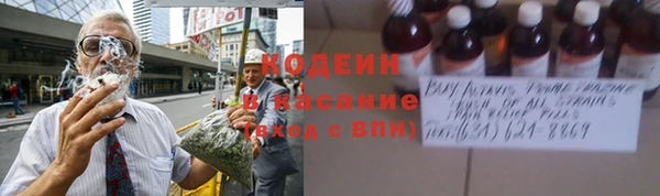 ПСИЛОЦИБИНОВЫЕ ГРИБЫ Алексин