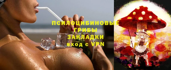 дживик Алексеевка