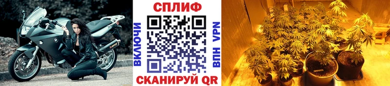 Бошки марихуана THC 21% что такое наркотик Юрьев-Польский